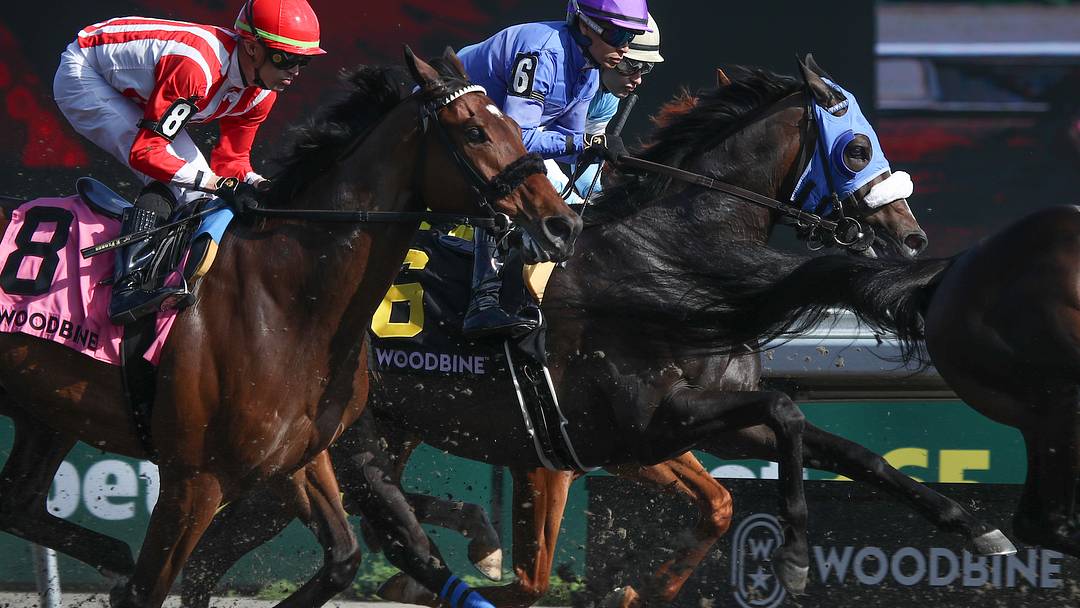 Woodbine Racetrack