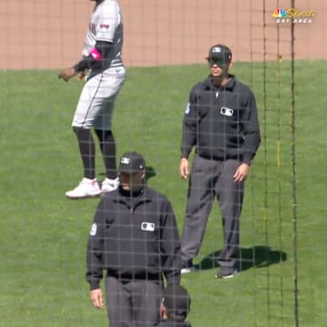 Arizona Diamondbacks manager Torey Lovullo gets ejected during a game against the San Francisco Giants