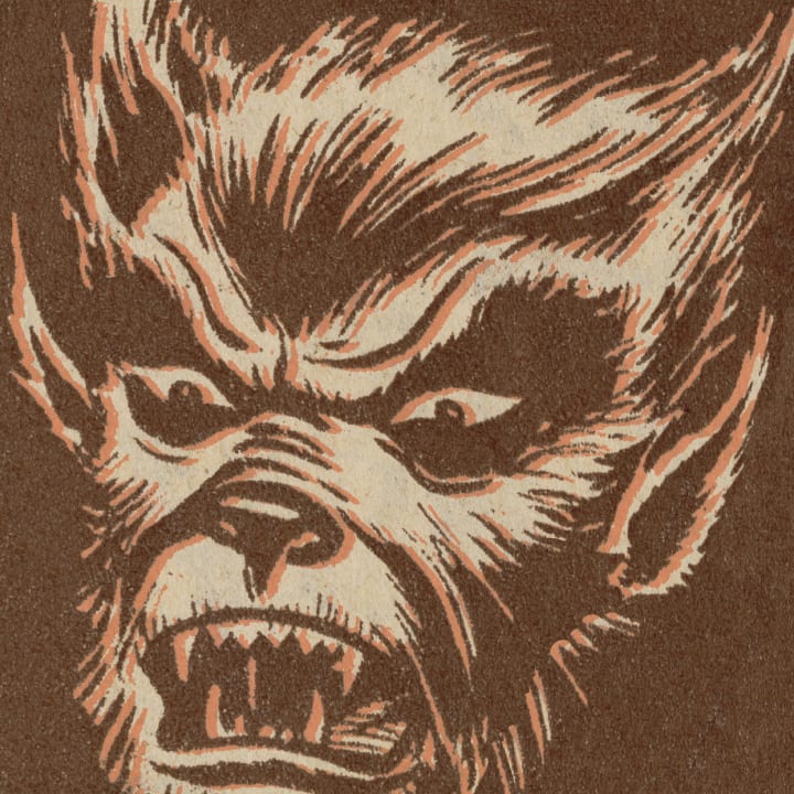 Vintage illustration of a werewolf's face