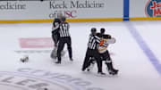 Jeremy Swayman and Darcy Kuemper tried to fight during the Kings - Bruins game on Sunday.