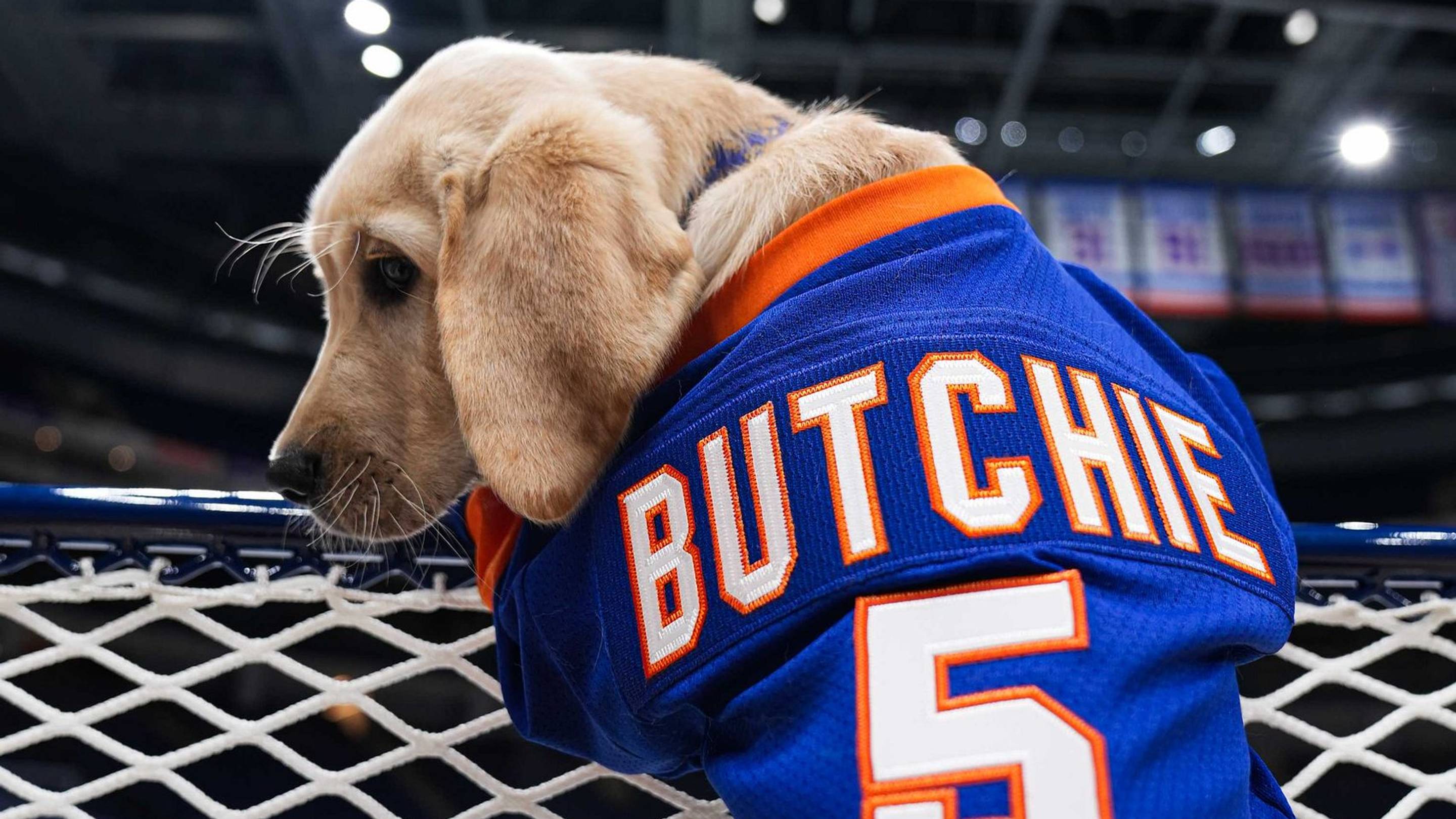 Islanders' Puppy with a Purpose Program: A Legacy of Service and Smiles