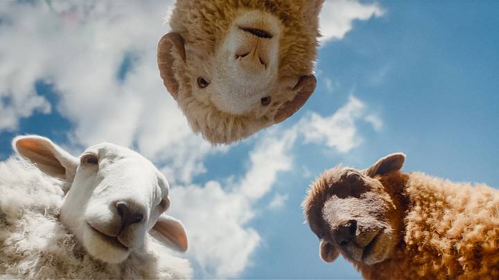 Regina Hall as the voice of Cloud, Chris O'Dowd as the voice of Mopple and Julia-Louis Dreyfus as the voice of Lily in THE SHEEP DETECTIVES. 