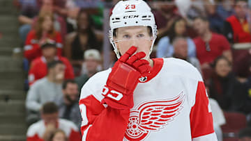 Detroit Red Wings v Chicago Blackhawks