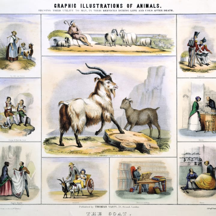 Benjamin Waterhouse Hawkins's illustration of "The Goat," published in 1850.