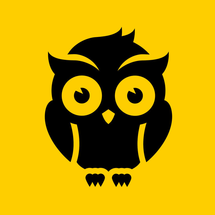 illustration of an owl on a yellow background