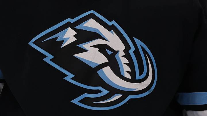 Oct 19, 2025; Salt Lake City, Utah, USA; A general view of the Utah Mammoth logo on goaltender Vitek Vanecek (41) during the second period of a game against the Boston Bruins at Delta Center. Oct 19, 2025; Salt Lake City, Utah, USA; A general view of the Utah Mammoth logo on goaltender Vitek Vanecek (41) during the second period of a game against the Boston Bruins at Delta Center.