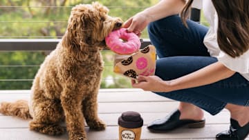 Celebrate Pet Moms This Mother’s Day with P.L.A.Y.!