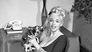 Actress Jayne Mansfield, with her dog, Cow, gives an interview in 1965. 