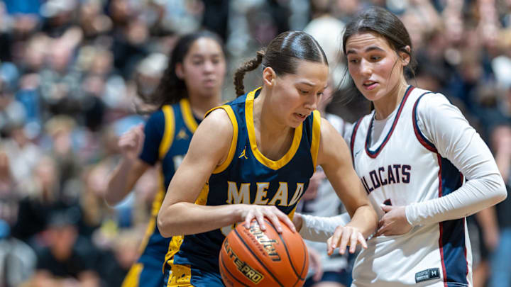 Mead Panthers vs Mt. Spokane Wildcats - Dec 12, 2025