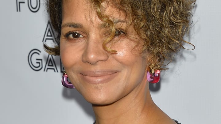 Halle Berry Claps Back At Commenter Criticizing Her Nude Photo