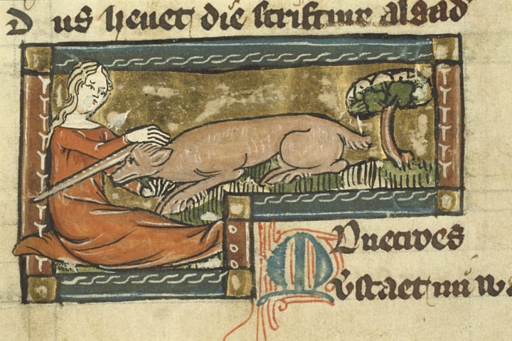 drawing of a monchero resting its head in a virgin's lap