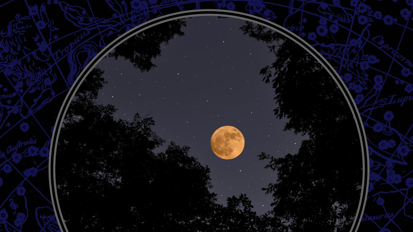 The Buck Moon—the Year’s Biggest Super Moon—Has Arrived. Here’s the