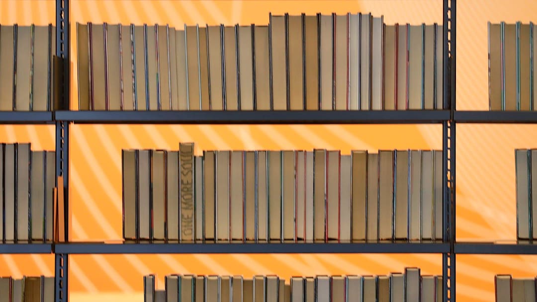 Shelves of books continue to be a mainstay of the Appleton Public Library.