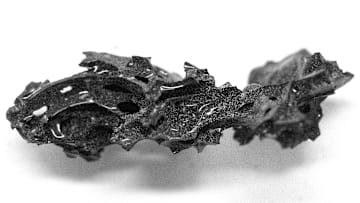 A fragment of the organic glass found inside the skull of the deceased individual in Herculaneum.