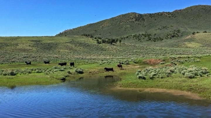 Three Springs Ranch in Colorado