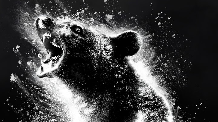 Meet the real 'Cocaine Bear.'