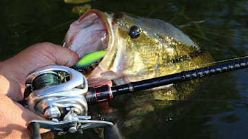 Let me tell you why frogging for bass in thick vegetation is one of the most exciting ways to catch largemouth.