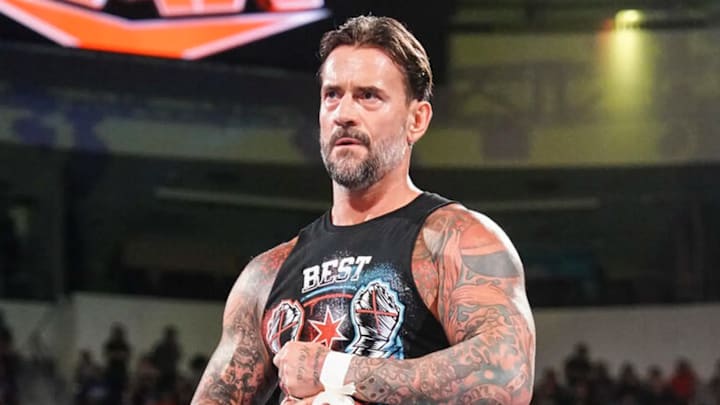 Wwe superstar c m punk on sale