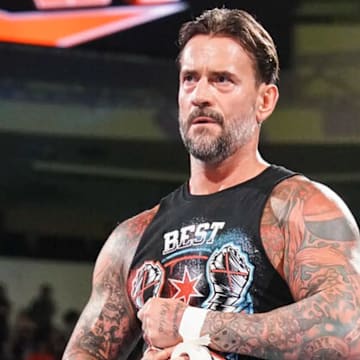 Who Is CM Punk's Wife? All About AJ Mendez (AJ Lee)