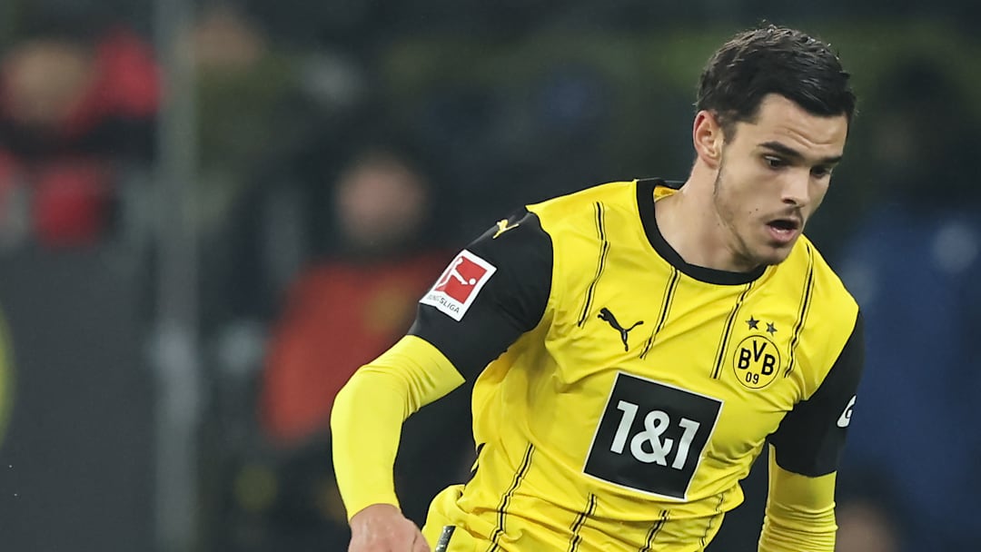 Borussia Dortmund v TSG 1899 Hoffenheim - Bundesliga