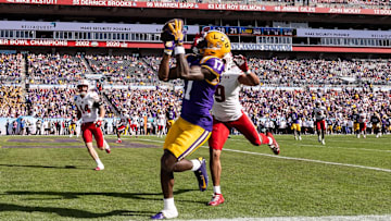 Jan 1, 2024; Tampa, FL, USA; LSU Tigers wide receiver Chris Hilton Jr. (17) catches a pass for a touchdown over Wisconsin Badgers safety Austin Brown (9) during the second half at the Reliaquest Bowl at Raymond James Stadium. Mandatory Credit: Matt Pendleton-Imagn Images