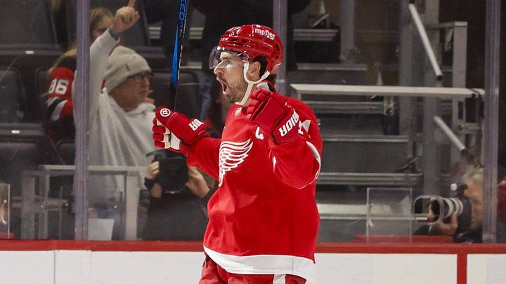 Detroit Red Wings center Dylan Larkin (71): Brian Bradshaw Sevald-Imagn Images