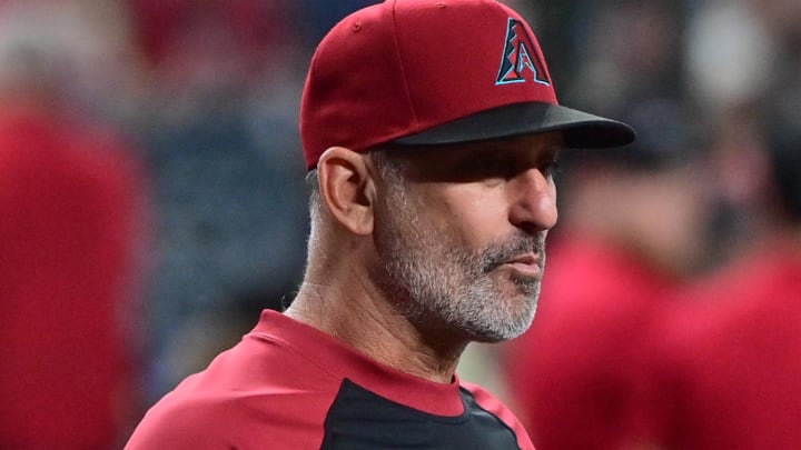 Jul 31, 2024; Phoenix, Arizona, USA;  Arizona Diamondbacks manager Torey Lovullo (17) looks on prior to a game against the Washington Nationals at Chase Field. Mandatory Credit: Matt Kartozian-USA TODAY Sports