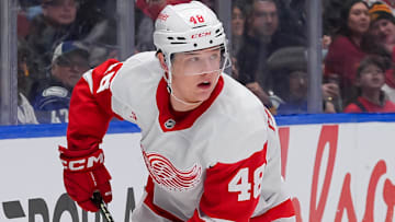 Detroit Red Wings v Vancouver Canucks