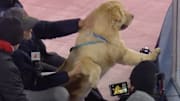 Peter Herbstreit takes in the NHL's latest outdoor game. 