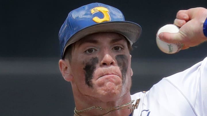 Kenosha St. Joseph's Dominic Santarelli (25) pitches during the WIAA Division 3 championship game on Thursday, June 19, 2025. Wm. Glasheen USA TODAY NETWORK-Wisconsin