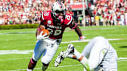 Oct 18, 2014; Columbia, SC, USA; South Carolina Gamecocks running back Mike Davis (28) leaves behind Furman Paladins defensive end Gary Wilkins (35) on his way to a touchdown in the first quarter at Williams-Brice Stadium. Mandatory Credit: Jeff Blake-Imagn Images