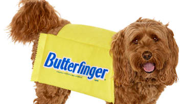 Butterfinger and Spirit Halloween Collaborate on Halloween Costumes (for People & Dogs!) Image Credit to Butterfinger and Spirit Halloween. 