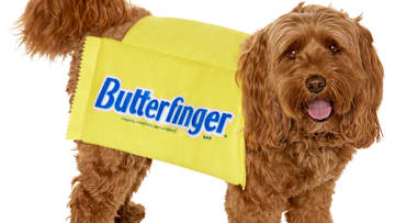 Butterfinger and Spirit Halloween Collaborate on Halloween Costumes (for People & Dogs!) Image Credit to Butterfinger and Spirit Halloween. 