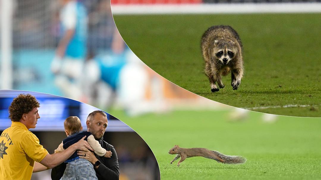 Animals and babies have taken the MLS stage in recent seasons. 