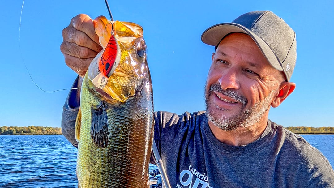 Toss one of these crankbait styles for sure-fire fishing action when targeting bass.