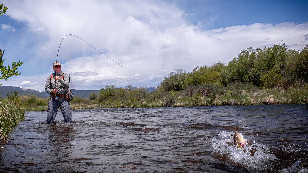 I pulled this trout from deeper water with a black rabbit-fur streamer. I pulled this trout from deeper water with a black rabbit-fur streamer.
