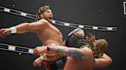 Forbidden Door will not be in AEW: Fight Forever at launch.
