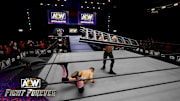 There are no NJPW wrestlers in AEW: Fight Forever.