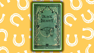 The first edition of ‘Black Beauty,’ published 1877.