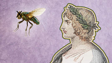 RIP, precious fly.