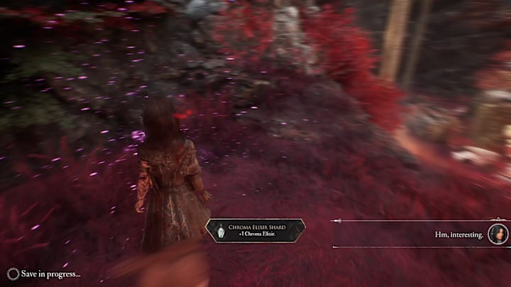 Lune having just picked up a Chroma Elixir Shard, increasing the maximum capacity.