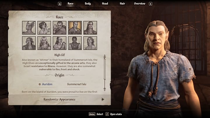 Un Elfe élevé dans l'oubli Remastered du personnage Créateur.