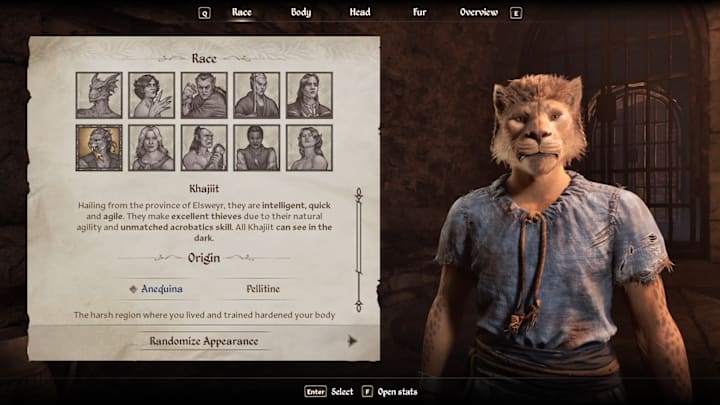 Un Khajit dans l'oubli Remastered du personnage Créateur.