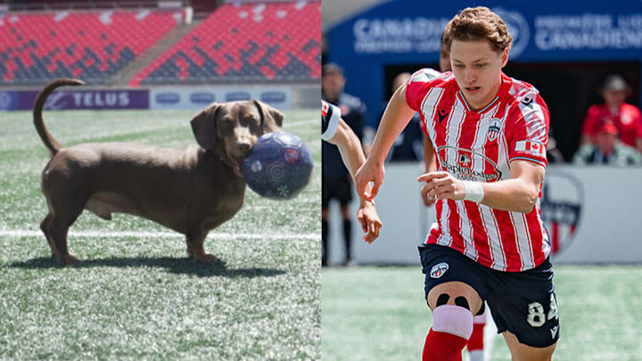Atlético Ottawa is one of many North American clubs to have dogs at the stadium on matchday