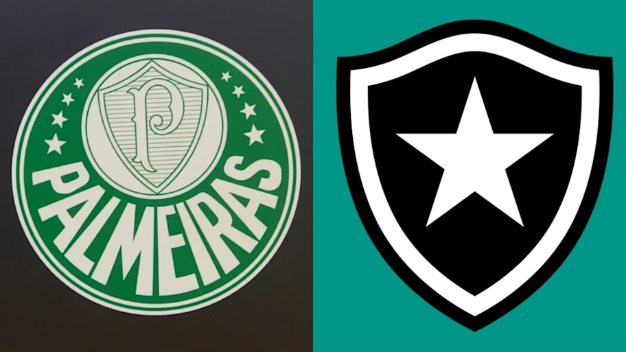Palmeiras and Botafogo will face-off in the Club World Cup round of 16 | IMAGO/Depositphotos