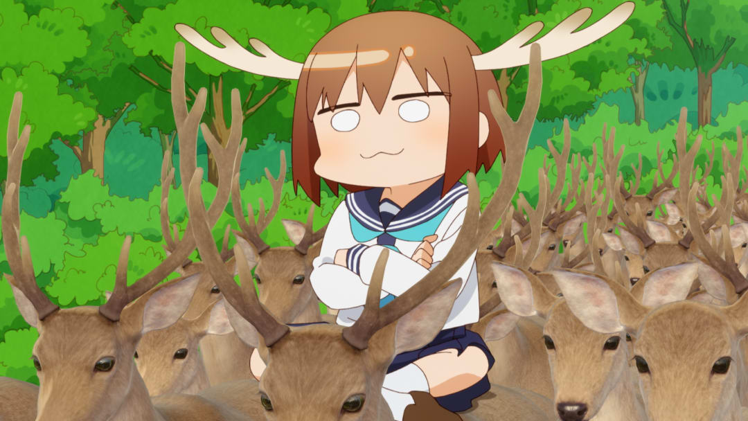 My Deer Friend Nokotan - Crunchyroll