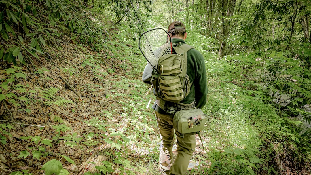 The beginning of a good day. 