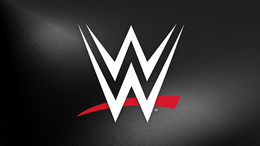 WWE logo