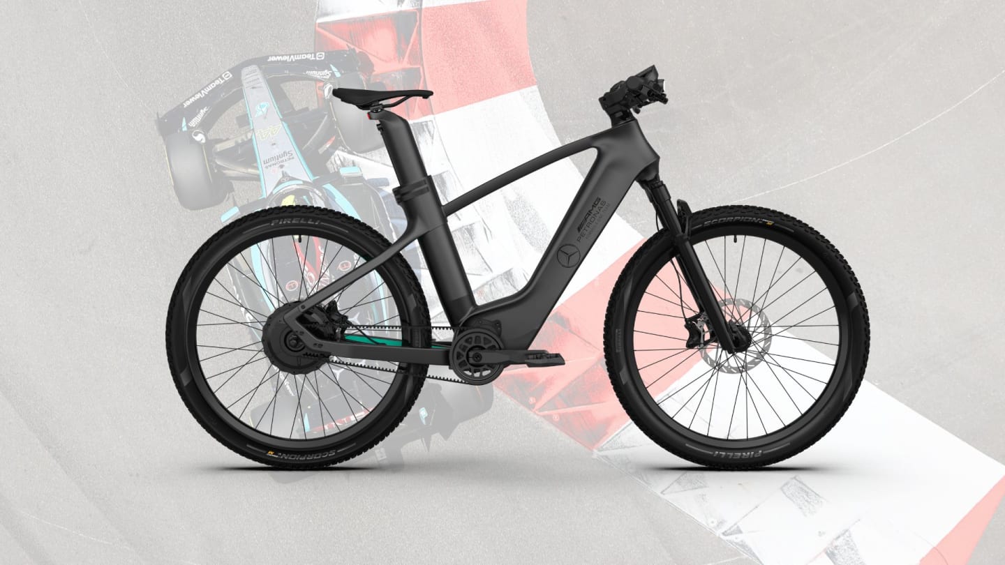Petronas road bike outlet
