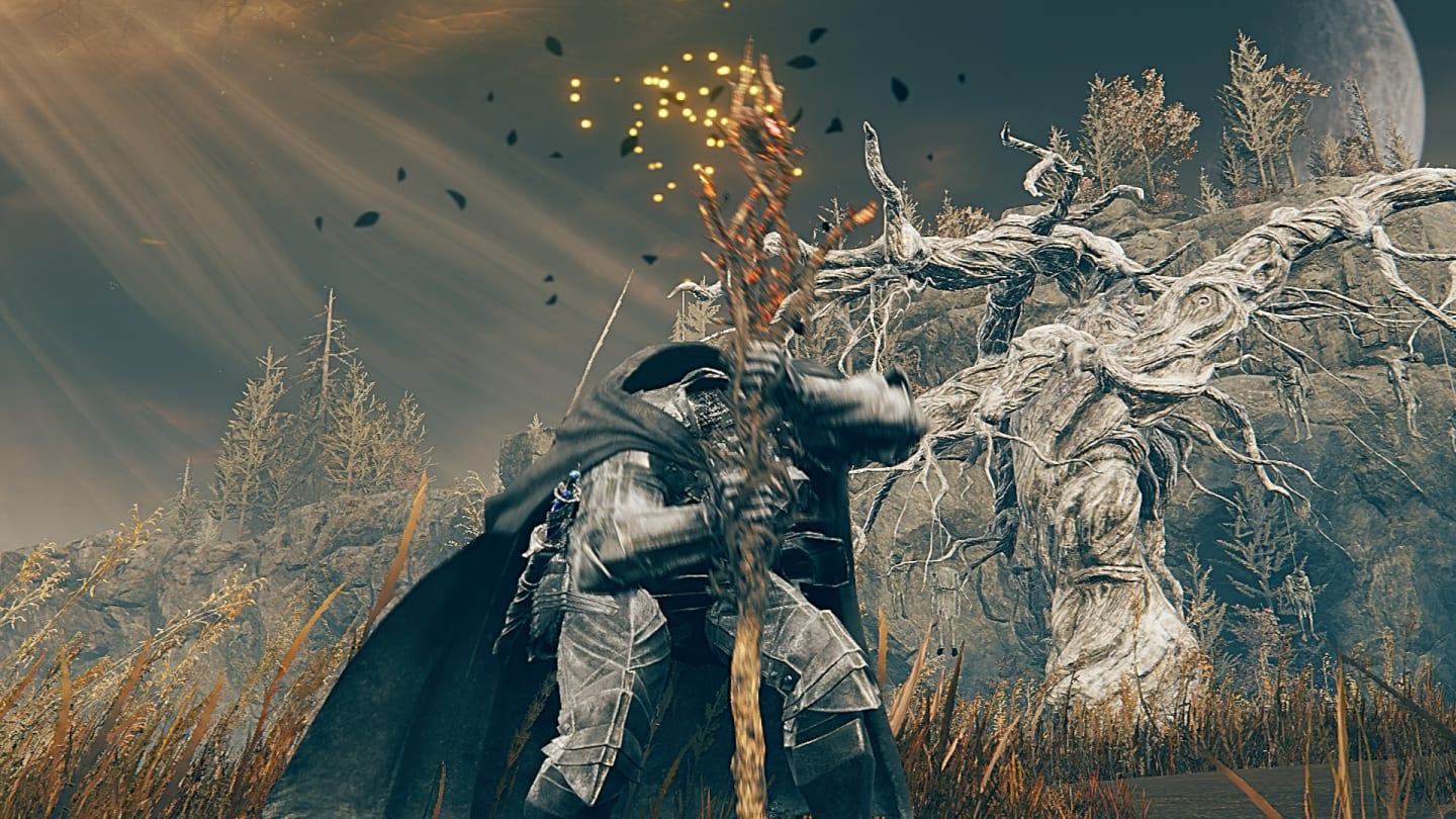 Elden Ring Shadow of the Erdtree Thorns build